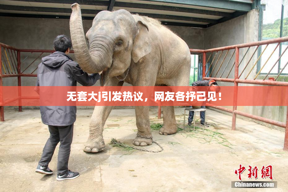 无套大j引发热议，网友各抒己见！