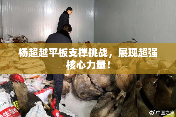 杨超越平板支撑挑战，展现超强核心力量！
