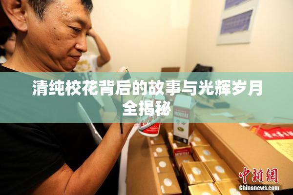 清纯校花背后的故事与光辉岁月全揭秘