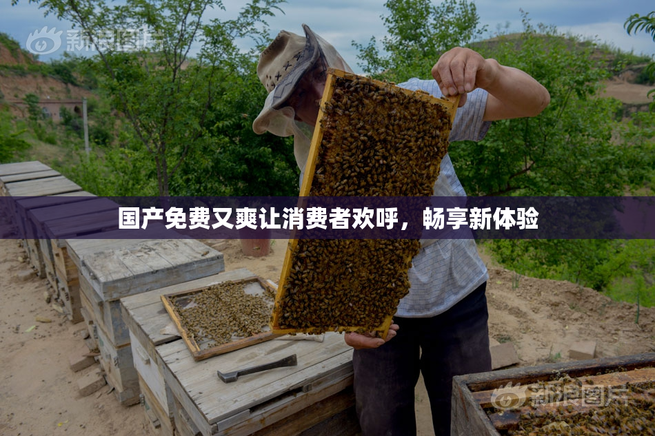 国产免费又爽让消费者欢呼，畅享新体验