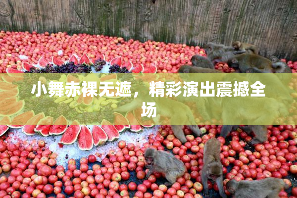 小舞赤裸无遮，精彩演出震撼全场