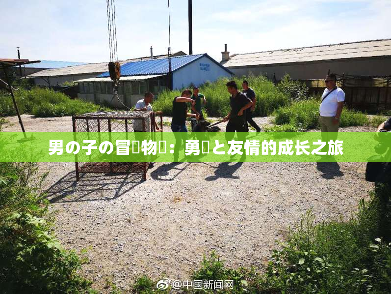 男の子の冒険物語：勇気と友情的成长之旅