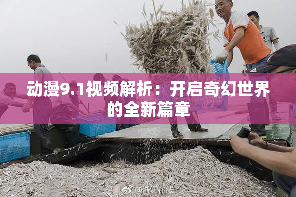 动漫9.1视频解析：开启奇幻世界的全新篇章