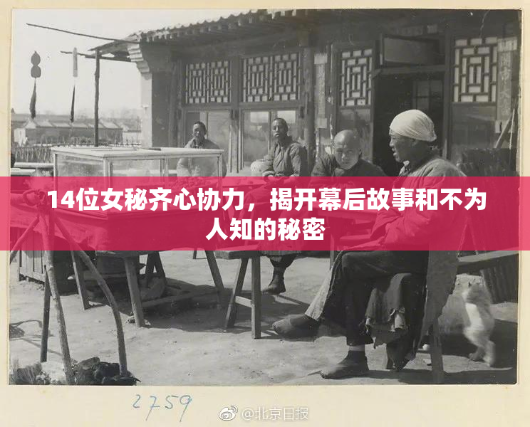 14位女秘齐心协力，揭开幕后故事和不为人知的秘密
