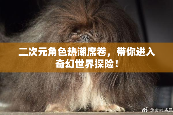 二次元角色热潮席卷，带你进入奇幻世界探险！