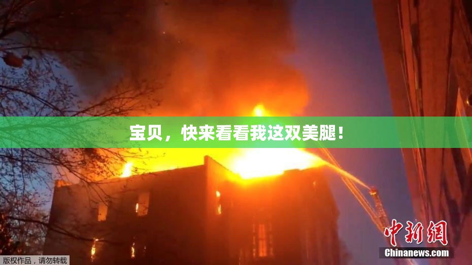 宝贝，快来看看我这双美腿！