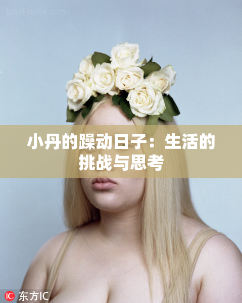 小丹的躁动日子：生活的挑战与思考