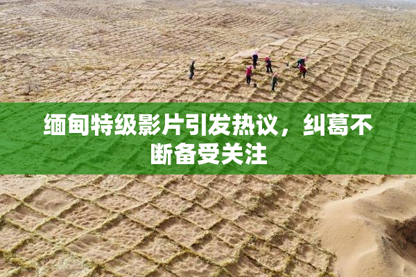 缅甸特级影片引发热议，纠葛不断备受关注