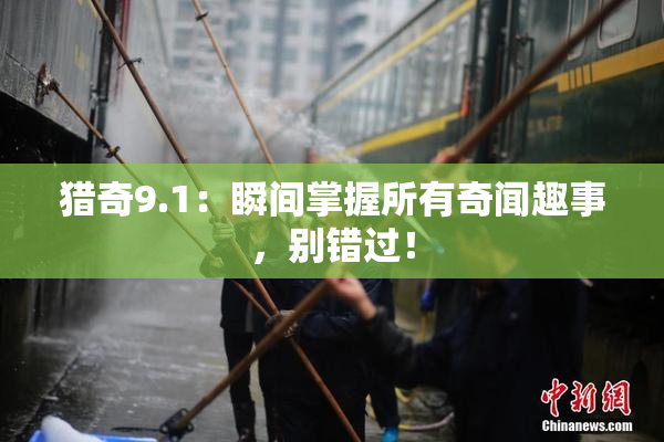 猎奇9.1：瞬间掌握所有奇闻趣事，别错过！