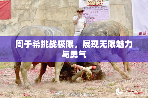 周于希挑战极限，展现无限魅力与勇气
