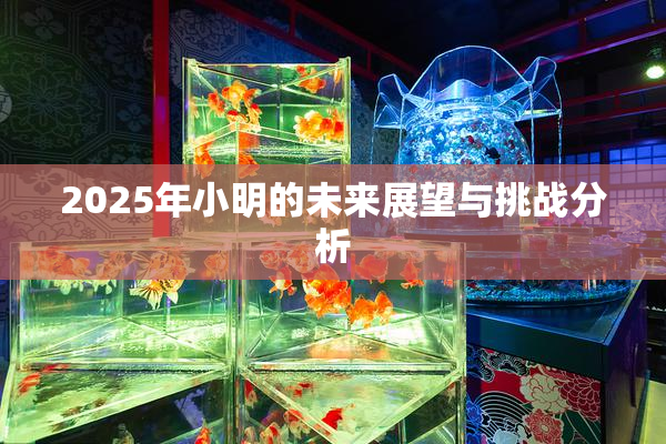 2025年小明的未来展望与挑战分析
