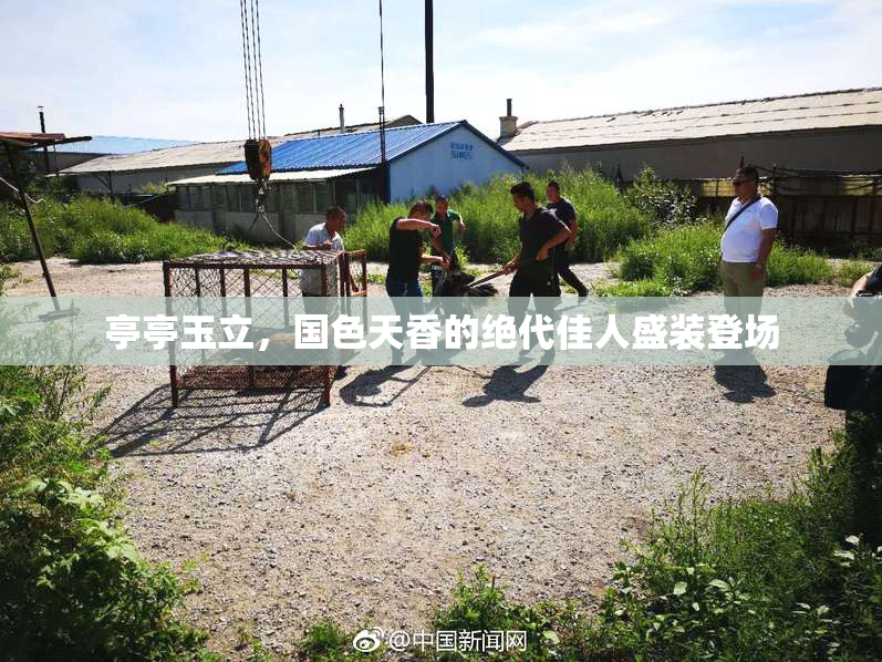 亭亭玉立，国色天香的绝代佳人盛装登场