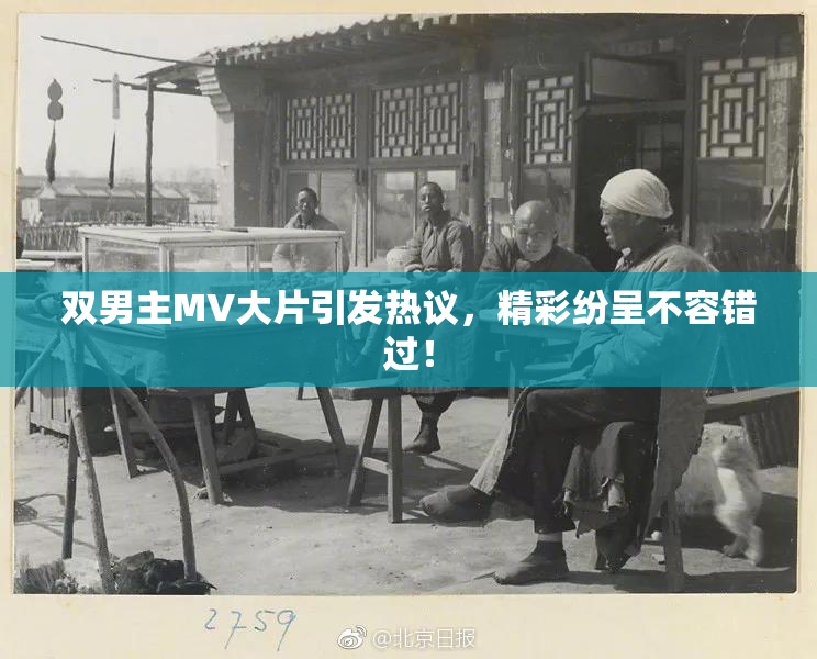 双男主MV大片引发热议，精彩纷呈不容错过！