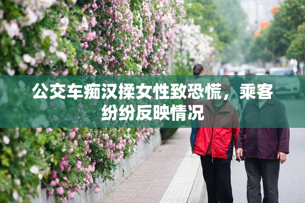 公交车痴汉揉女性致恐慌，乘客纷纷反映情况