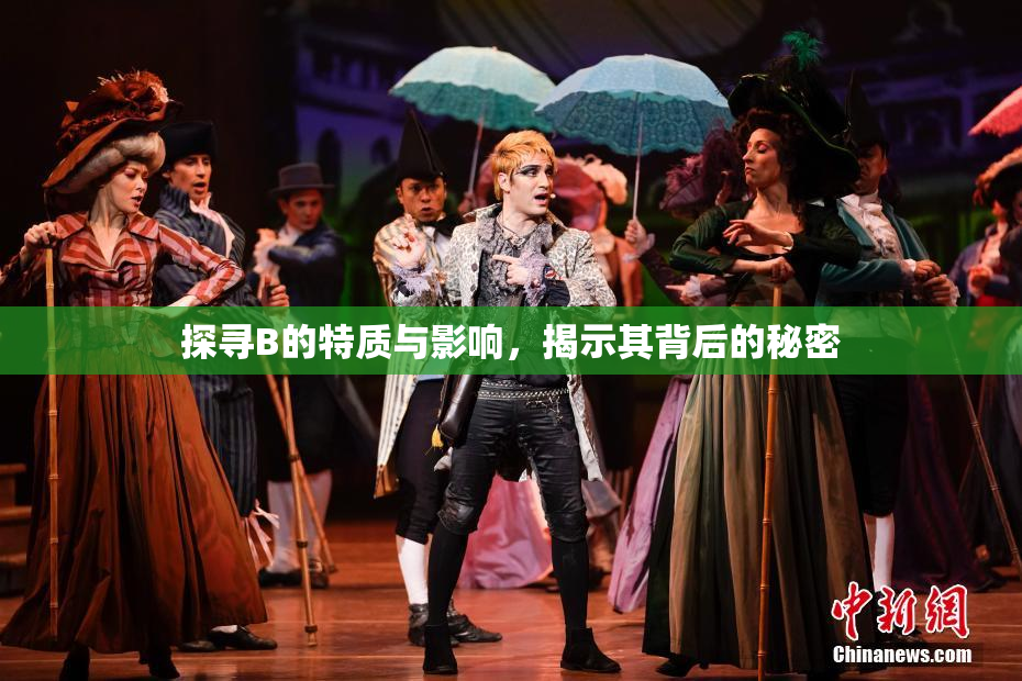 探寻B的特质与影响，揭示其背后的秘密