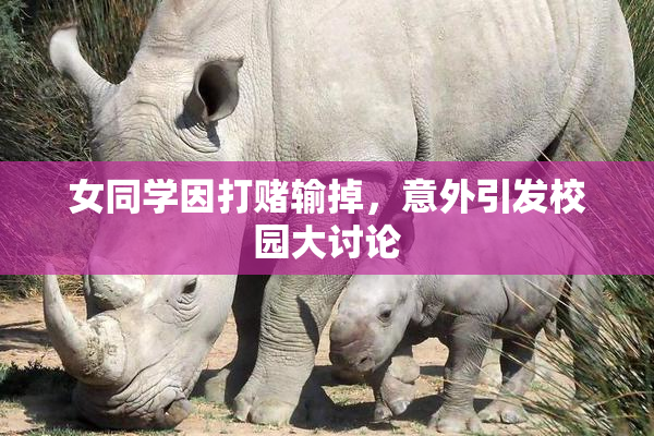 女同学因打赌输掉，意外引发校园大讨论