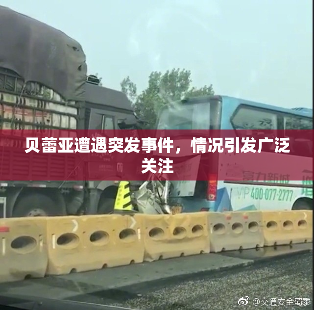 贝蕾亚遭遇突发事件，情况引发广泛关注