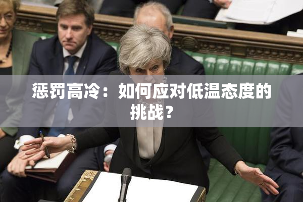 惩罚高冷：如何应对低温态度的挑战？