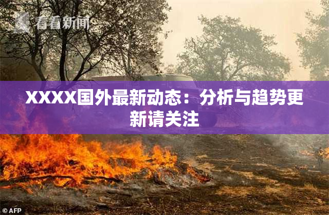 XXXX国外最新动态：分析与趋势更新请关注