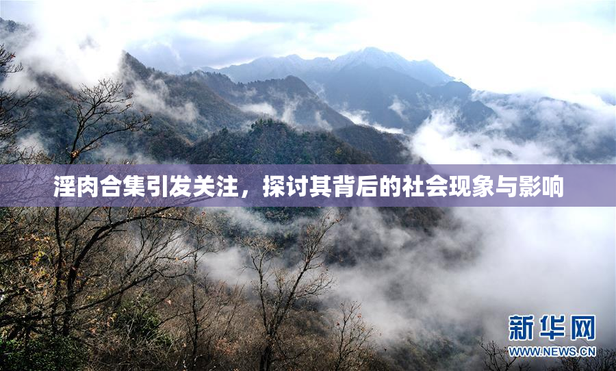 淫肉合集引发关注，探讨其背后的社会现象与影响