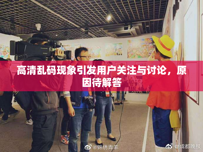 高清乱码现象引发用户关注与讨论，原因待解答