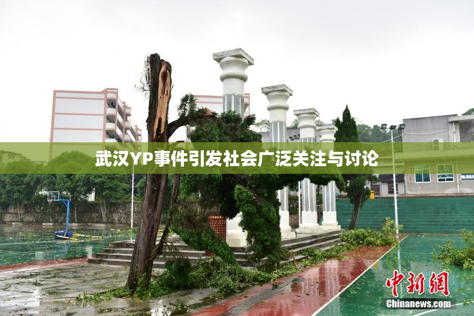 武汉YP事件引发社会广泛关注与讨论
