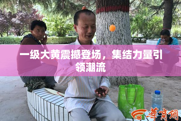 一级大黄震撼登场，集结力量引领潮流
