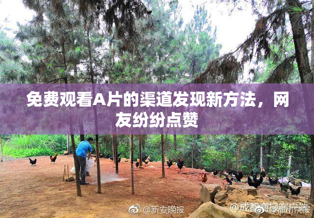 免费观看A片的渠道发现新方法，网友纷纷点赞