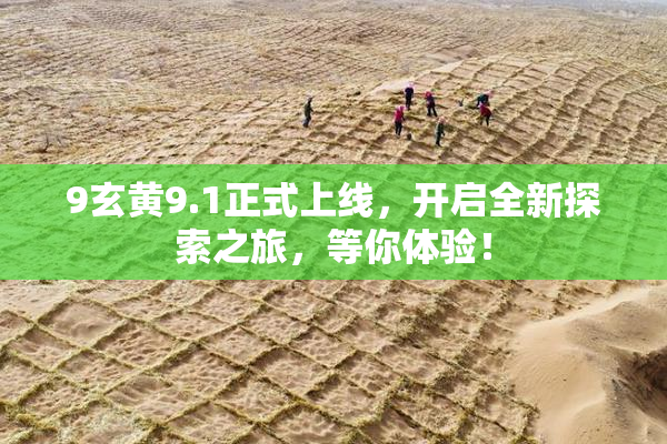 9玄黄9.1正式上线，开启全新探索之旅，等你体验！