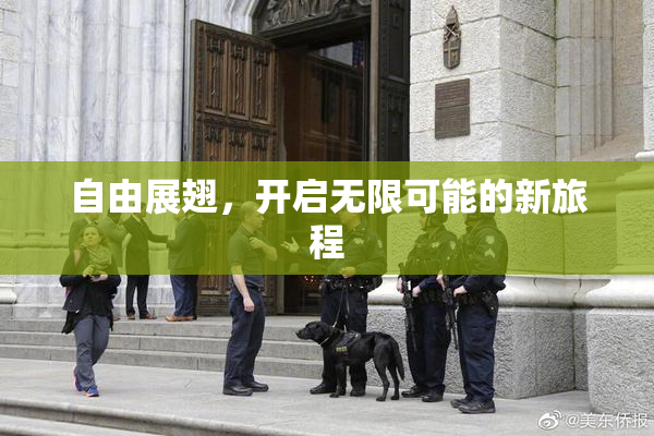 自由展翅，开启无限可能的新旅程