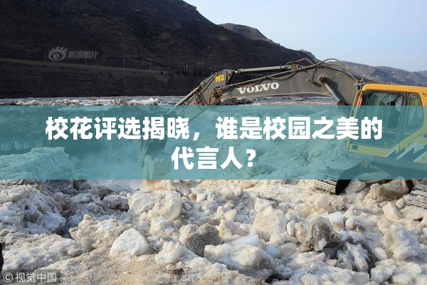 校花评选揭晓，谁是校园之美的代言人？