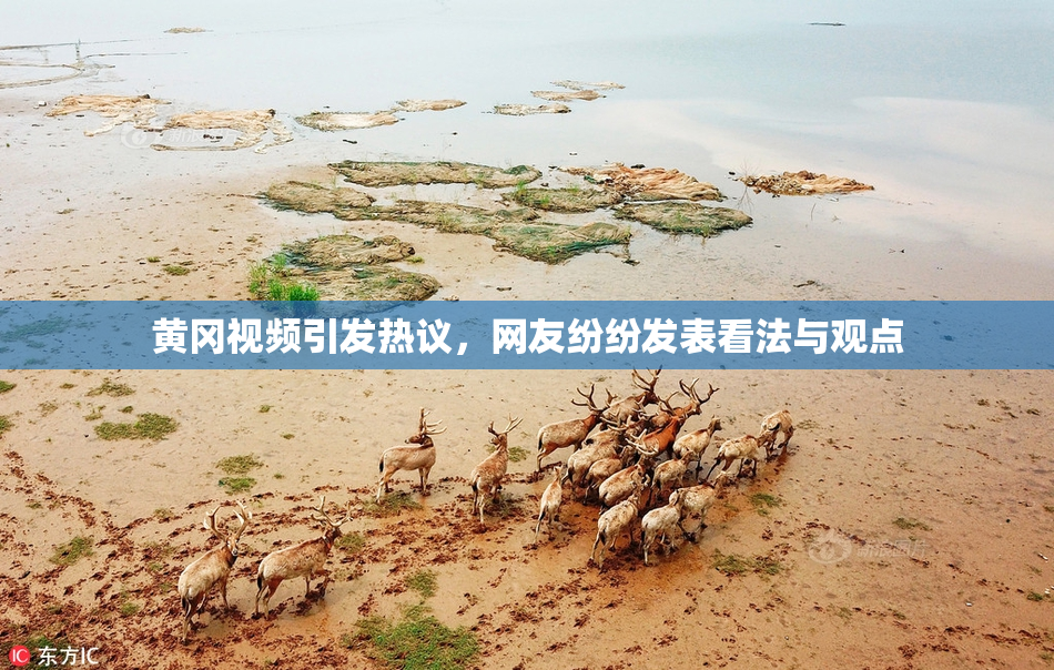 黄冈视频引发热议，网友纷纷发表看法与观点