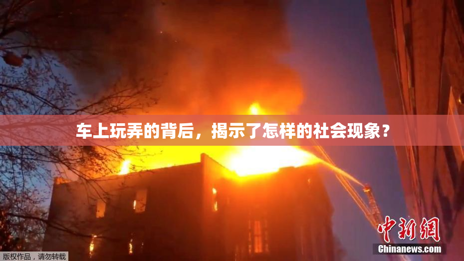 车上玩弄的背后，揭示了怎样的社会现象？