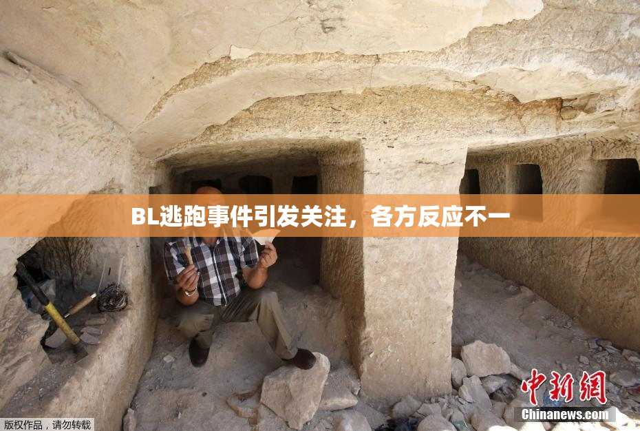 BL逃跑事件引发关注，各方反应不一