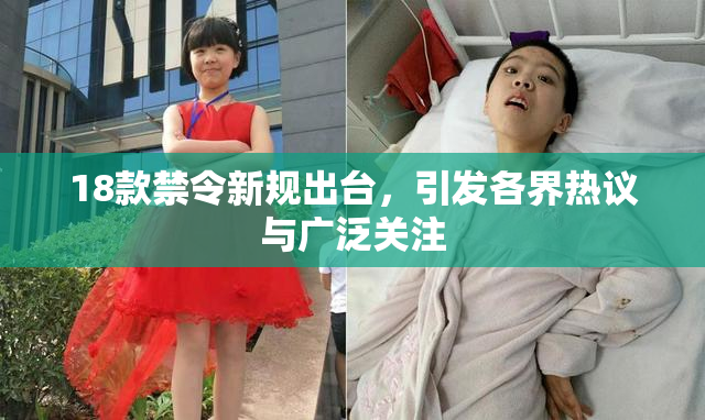 18款禁令新规出台，引发各界热议与广泛关注