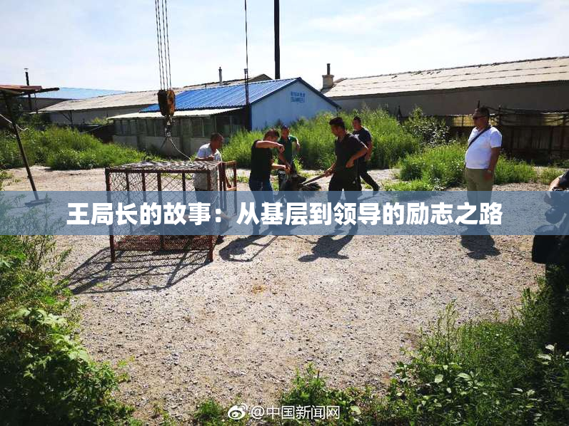 王局长的故事：从基层到领导的励志之路