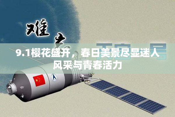 9.1樱花盛开，春日美景尽显迷人风采与青春活力