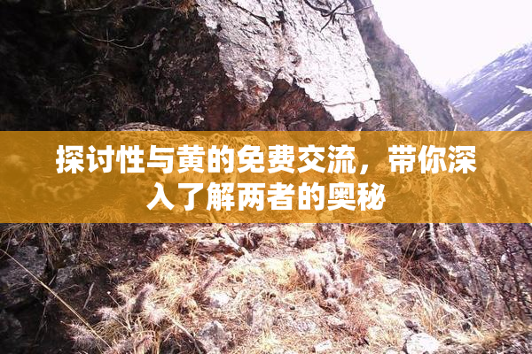 探讨性与黄的免费交流，带你深入了解两者的奥秘