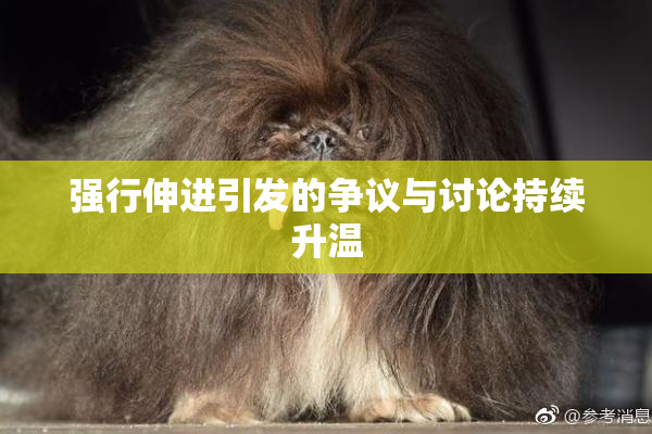 强行伸进引发的争议与讨论持续升温