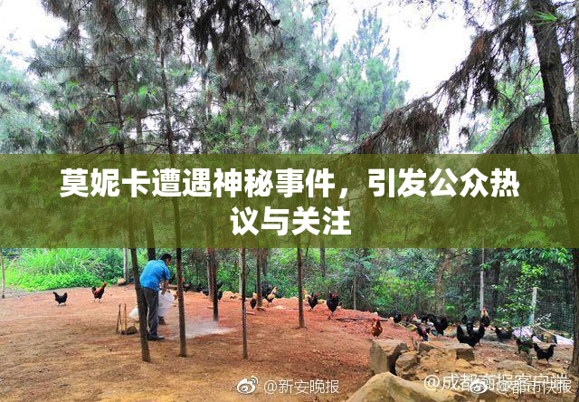 莫妮卡遭遇神秘事件，引发公众热议与关注
