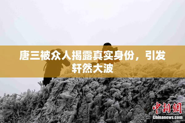 唐三被众人揭露真实身份，引发轩然大波