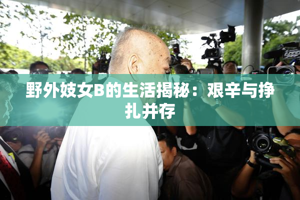 野外妓女B的生活揭秘：艰辛与挣扎并存
