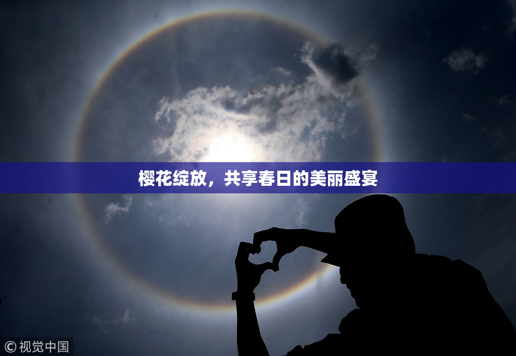 樱花绽放，共享春日的美丽盛宴