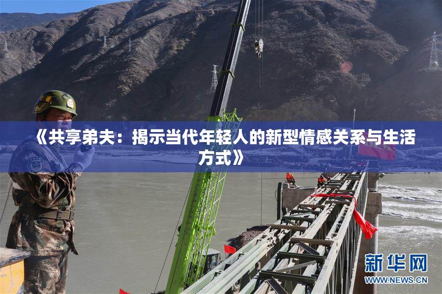 《共享弟夫：揭示当代年轻人的新型情感关系与生活方式》