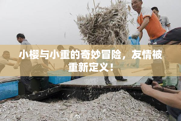 小樱与小重的奇妙冒险，友情被重新定义！