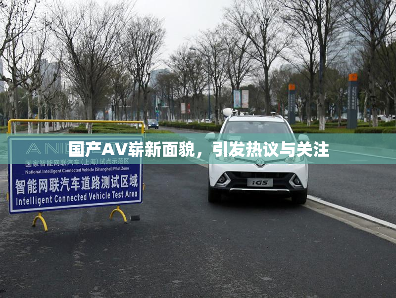 国产AV崭新面貌，引发热议与关注