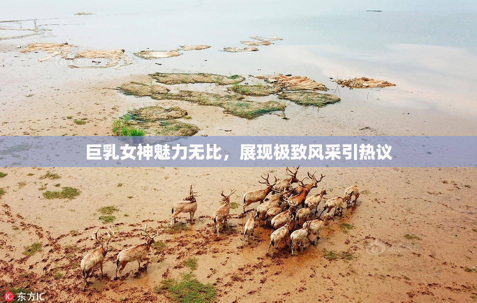 巨乳女神魅力无比，展现极致风采引热议