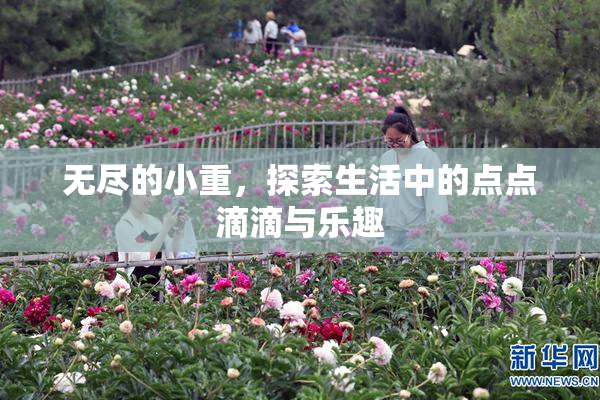 无尽的小重，探索生活中的点点滴滴与乐趣