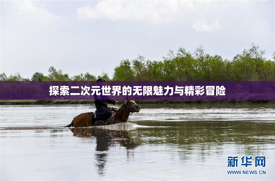 探索二次元世界的无限魅力与精彩冒险