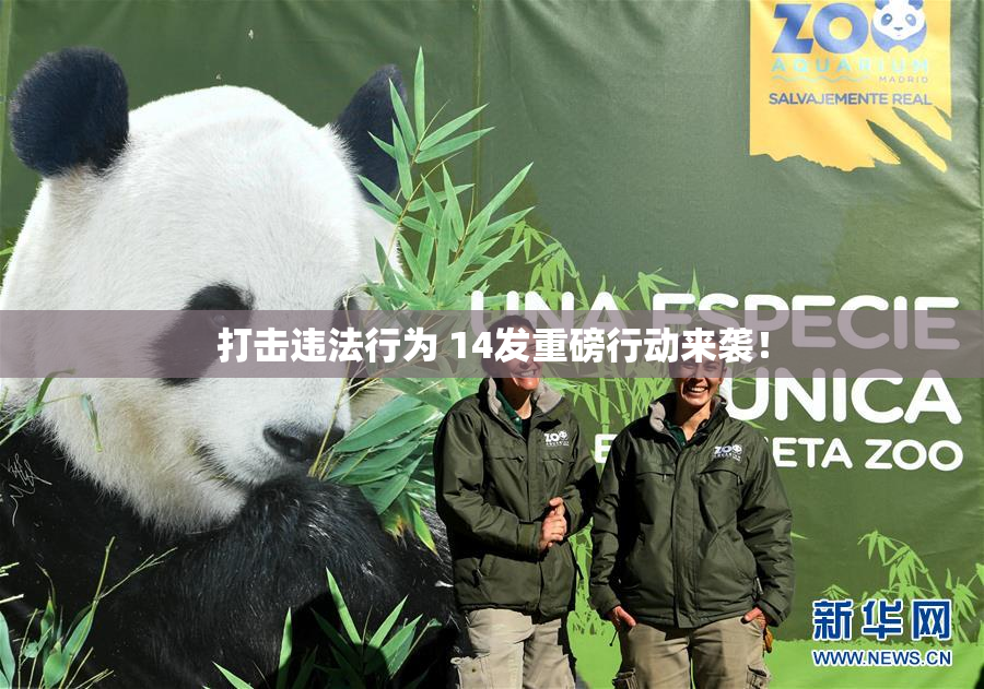 打击违法行为 14发重磅行动来袭！